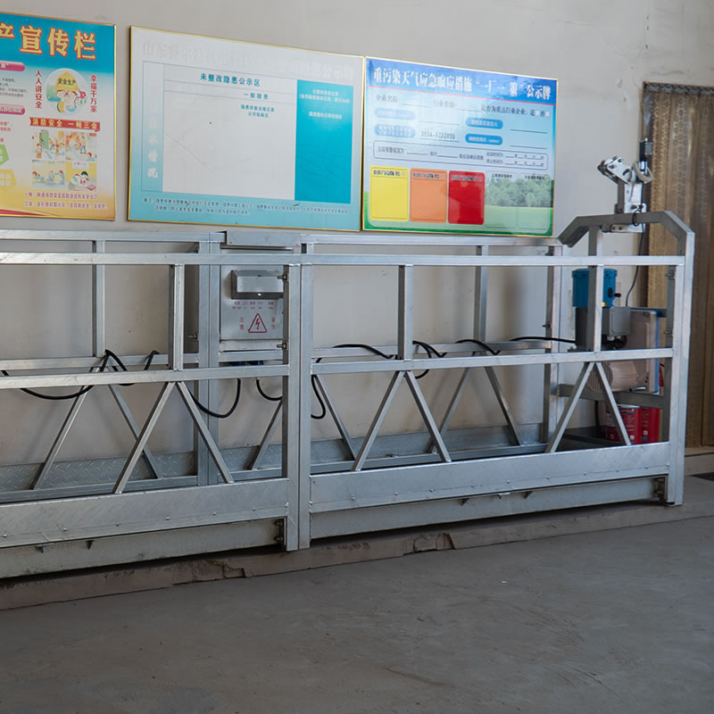 매달린 플랫폼 크래들