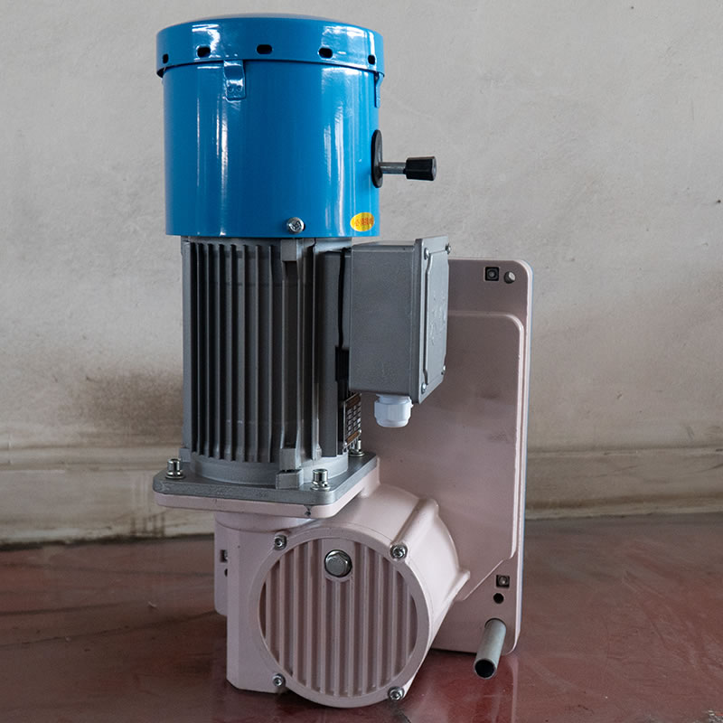 매달린 작업 플랫폼을 위한 LTD63 건설 호이스트